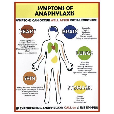 AEK Allergy Emergency  Anaphylaxis Symptoms Poster EN9363